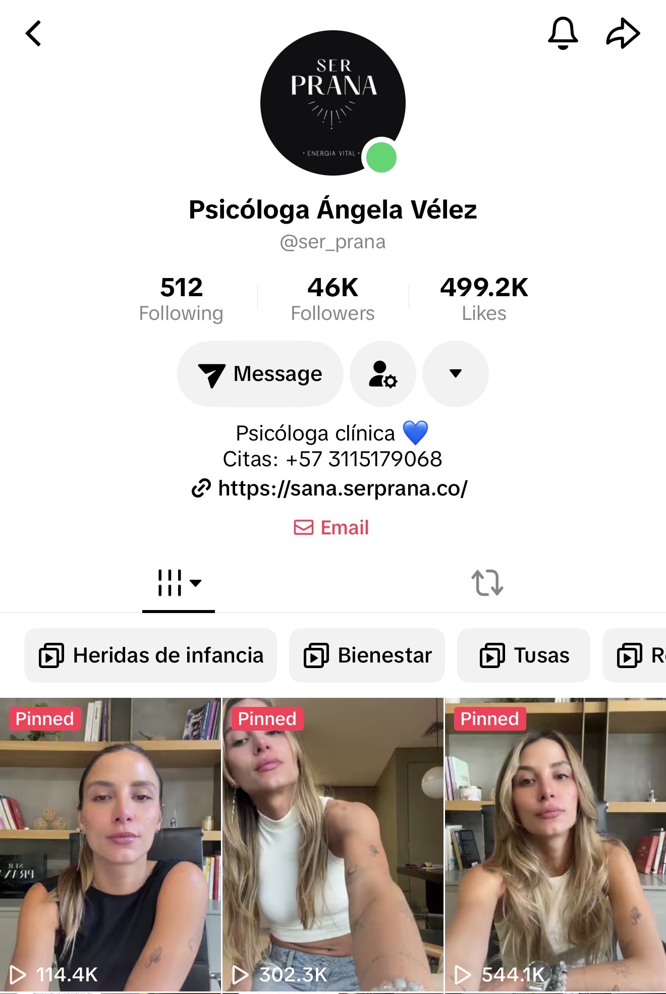 Ser Prana en TikTok — 46K seguidores